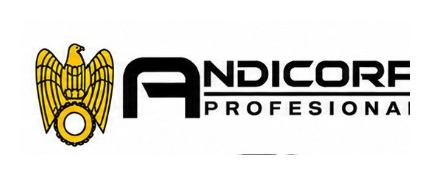 Logo de Andicorp Professional